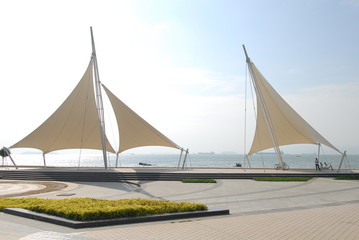 明天柳州市的天气预报